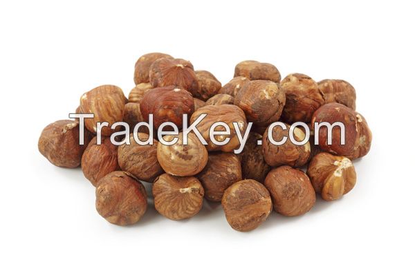 Raw Hazelnut, in Shell