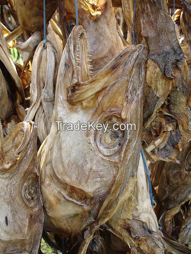 stockfish