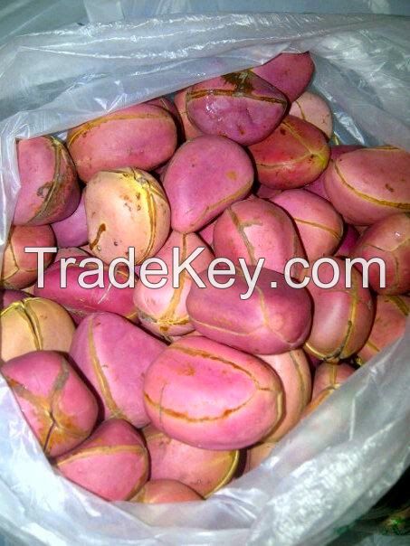 kola nut