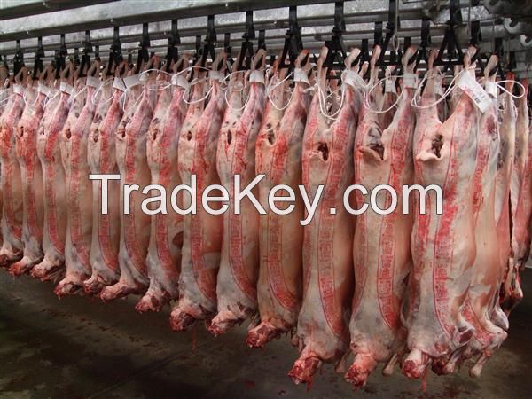 CARCASS/HALAL FRESH / FROZEN GOAT / LAMB / SHEEP MEAT /