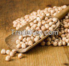 High Nutrient Organic Chickpeas Supplier from India