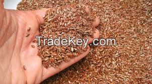 High Quality Flax Seeds Or Linseeds