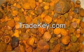 80/20 Cow/Ox/Cattle Gallstones for Sale