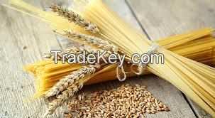 High Quality Semolina Wheat Soft/Durum Wheat