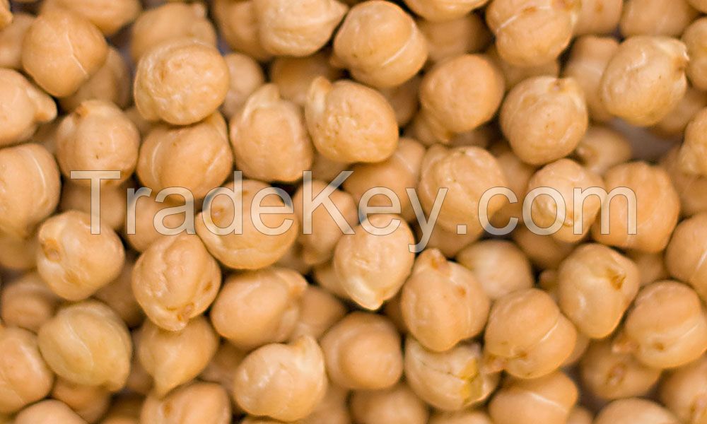 Superior Quality Kabuli Chickpeas