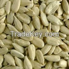 100% sunflower seeds kernel peeled sunflower seeds