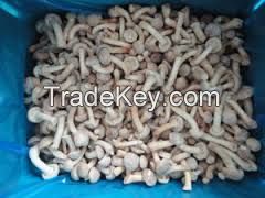 New crop frozen nameko mushroom