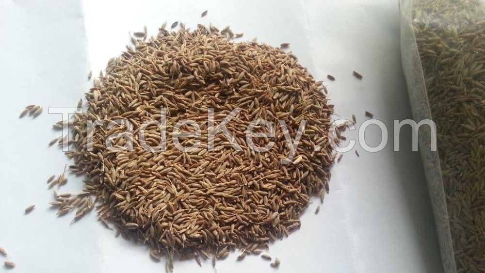 High Quality Cumin Seeds