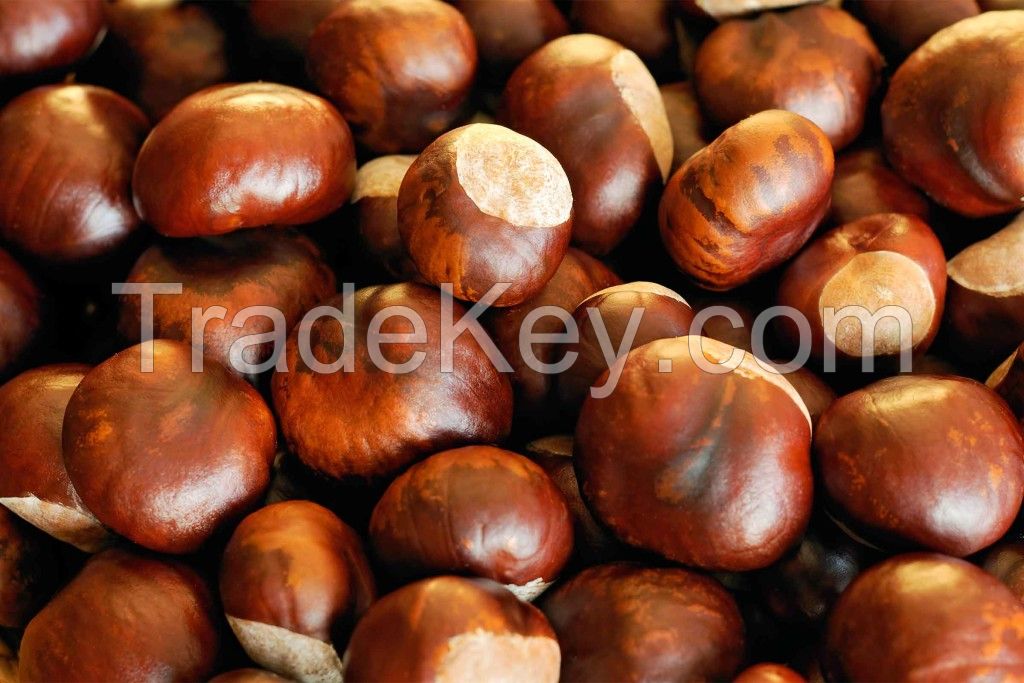 Chestnuts