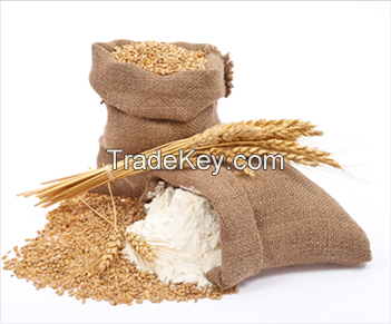 Wheat Gluten, Wheat Flour, Yeast