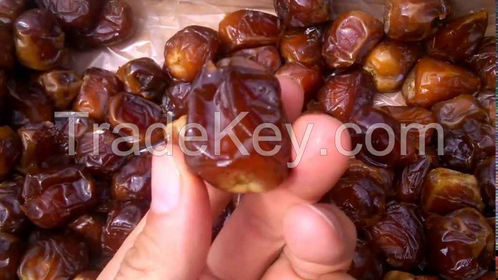 Semi Dry and Fresh Dates Fruits