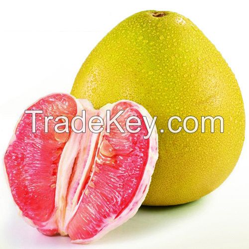 Fresh Pomelo From Viet Nam