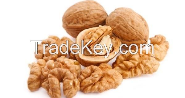 Walnut Kernel for sale best price