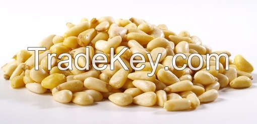 Bulk pine nuts in shell/without shell