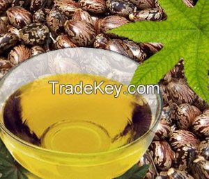 Bulk Castor Seed Oil / Refined Castor Oil (Pale Pressed Grade)