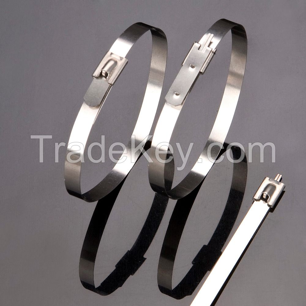 Stainless steel cable ties