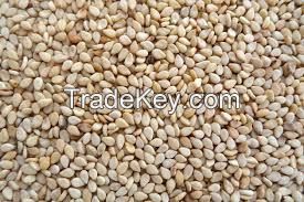 oil seeds, Sunflower Seeds, sesame seeds