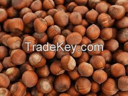 Hazelnuts