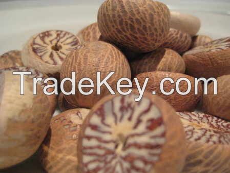 Betel nut