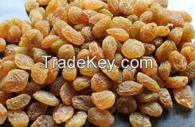 Malayar Raisins fruits