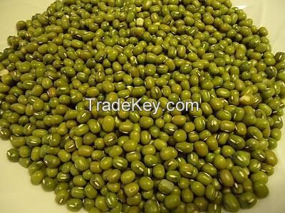 mung beans