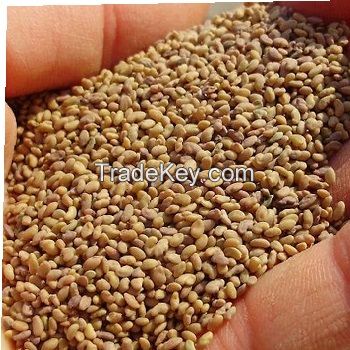 Flower seeds , Grass seeds, Herbs seeds , oil seeds Vegitable seeds, other  seeds