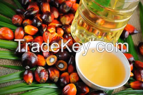 RBD Palm Oil