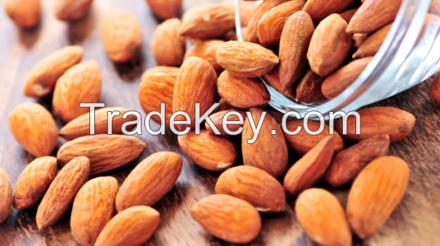 Organic Apricot kernels for sales and export