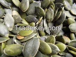 pumpkin seed