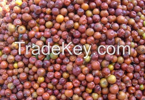 Wild jujube seed