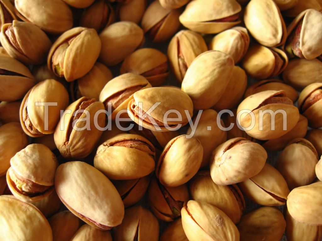 PISTACHIO NUTS