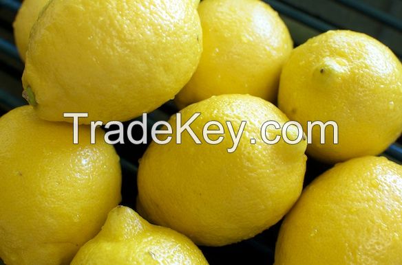 Fresh Lemons