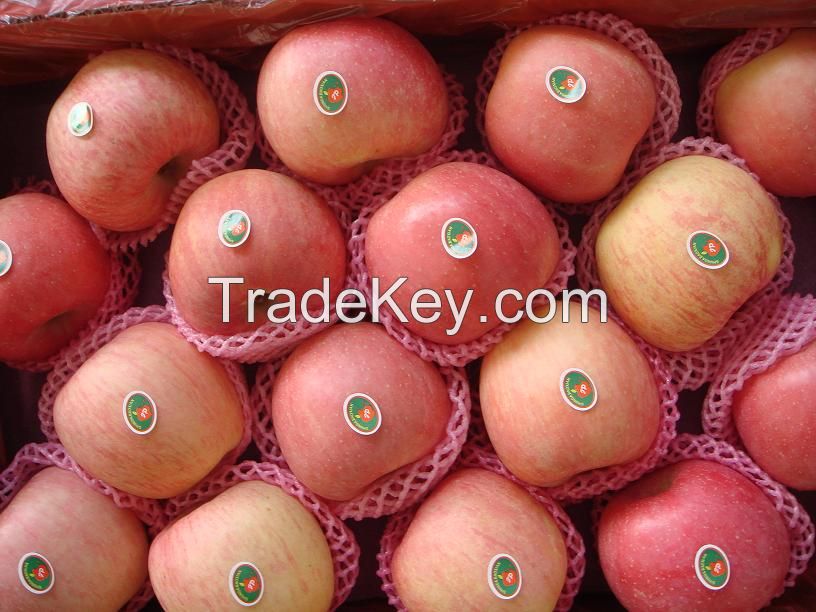 Fuji Apples