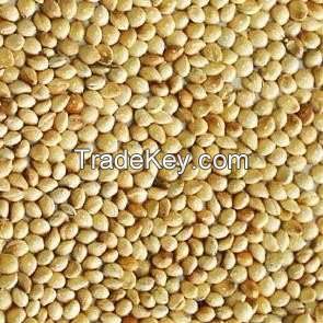 Buckwheat