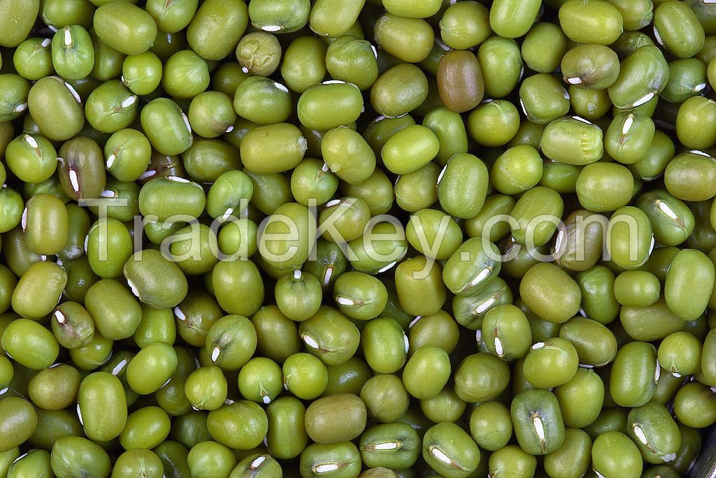 Vigna Beans