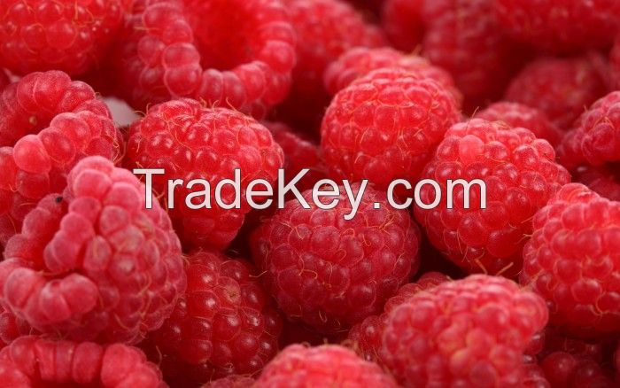 berries