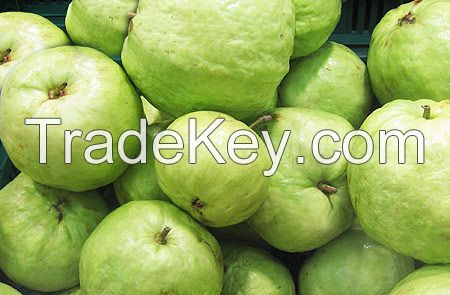 fresh guava