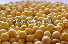 Certified Organic Low Grade Cheap Soybeans For Sale