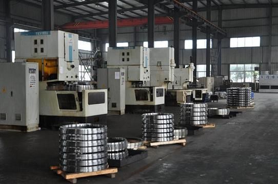 INA SLEWING BEARING