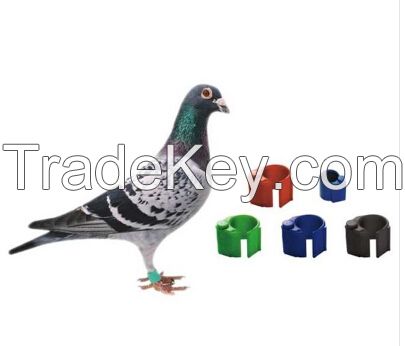 Competative price RFID Pigeon Ring Tag