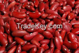 Small dark red kidney beans