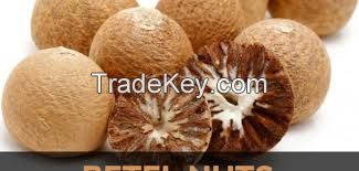 Dried Betel Nut High Quality Big size