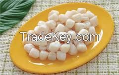 Frozen Sea Scallop Meat, treated