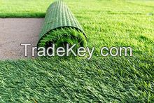 Grass, Artificial Turf Filling, Kindergarten Playground