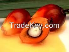 Crude Palm Oil (CPO)