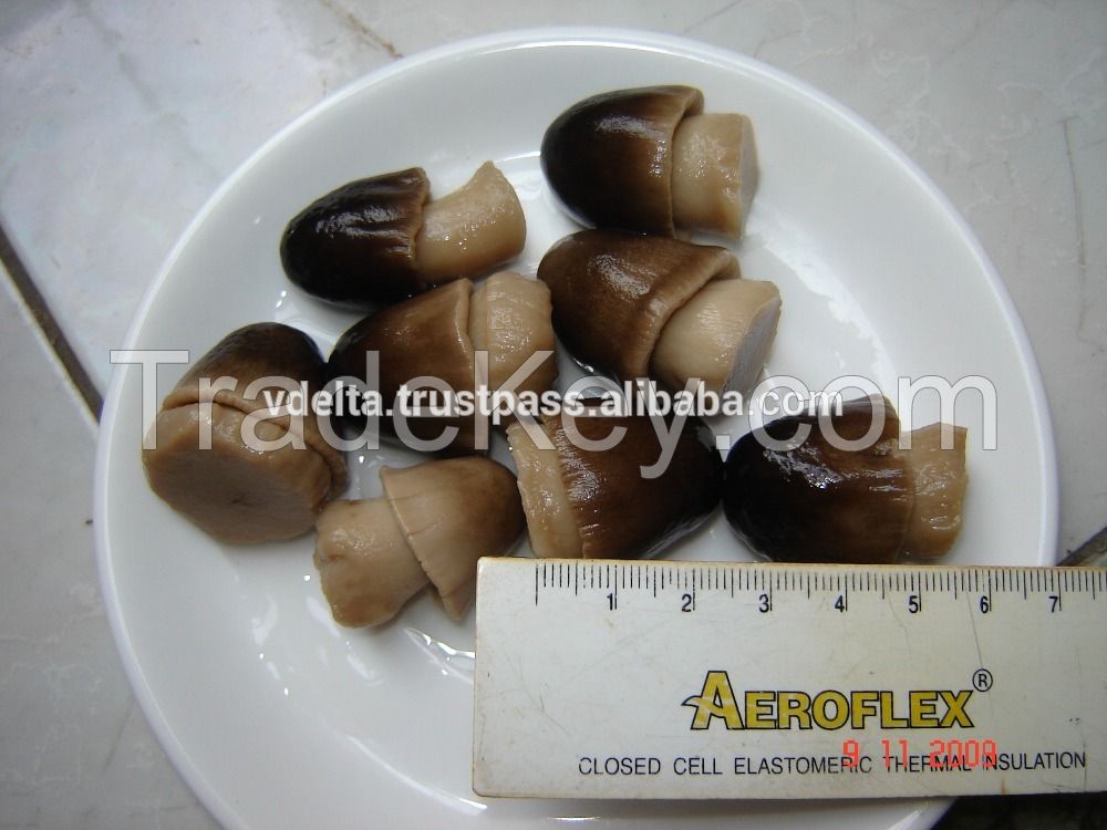 Canned Straw mushroom in brine (Volvariella volvacea)