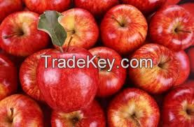 Fresh Red Delicious Apples for sale