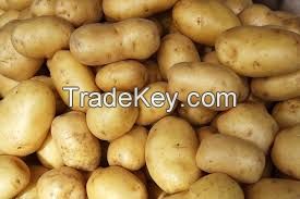 Fresh Potatoes for sale