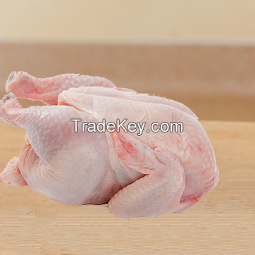 Halal Frozen Chicken / halal whole frozen chicken/ whole halal frozen chicken / Whole Frozen Chicken