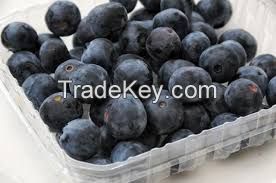 Fresh Blueberries